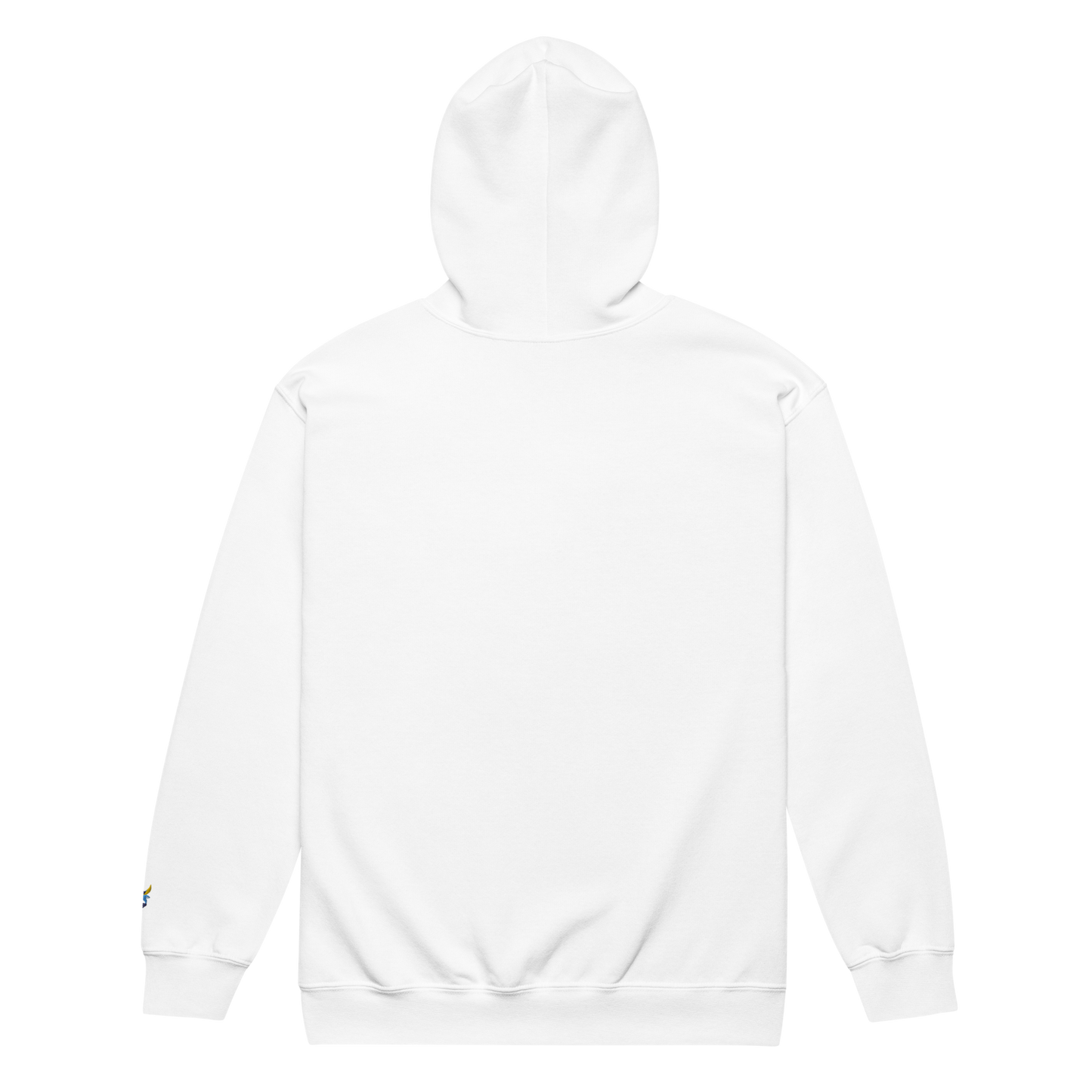BIG Aleph Logo zip hoodie