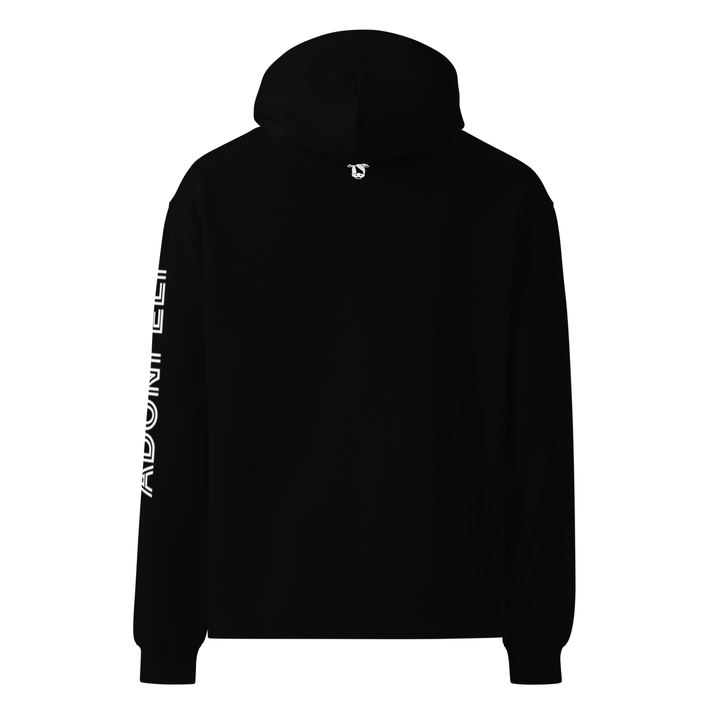 Pr. 16:18 “PRIDE” hoodie