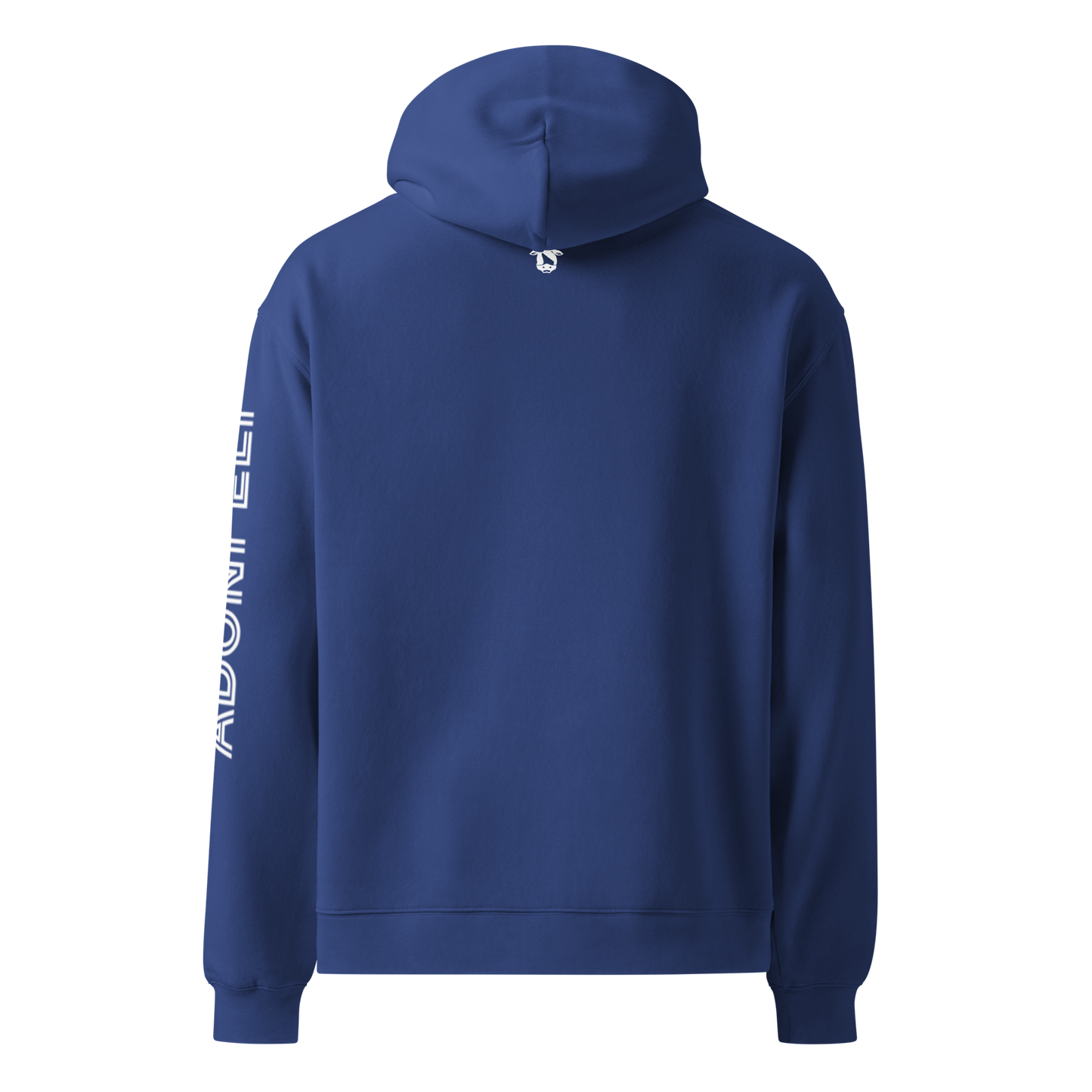 Pr. 16:18 “PRIDE” hoodie
