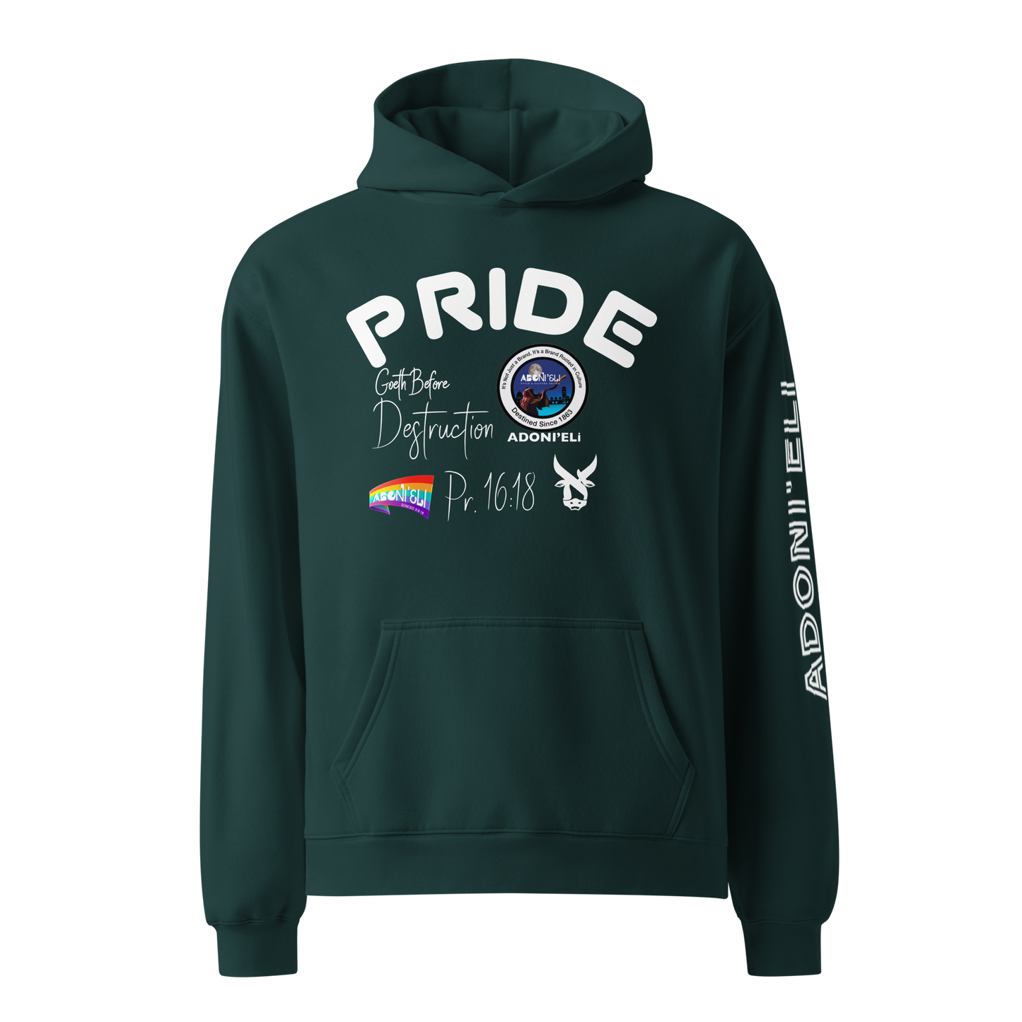 Pr. 16:18 “PRIDE” hoodie
