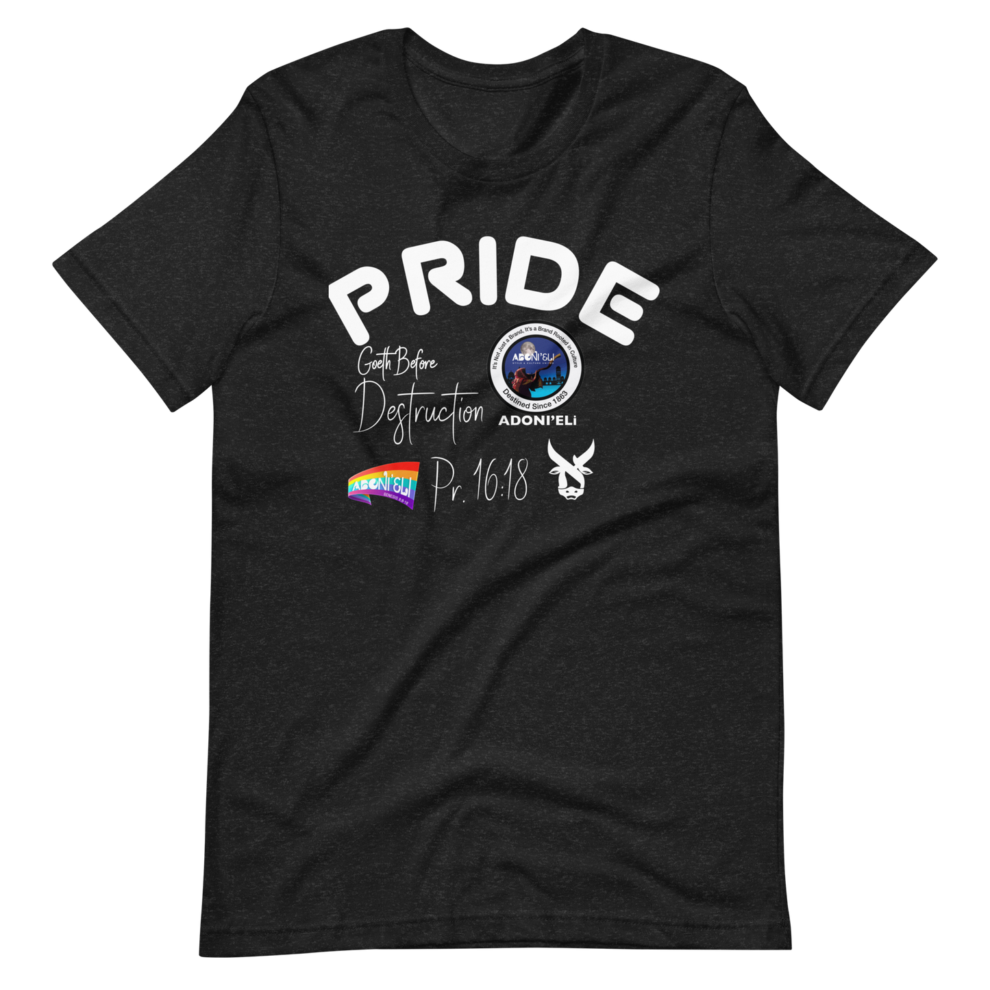 Pr. 16:18 PRIDE TEE