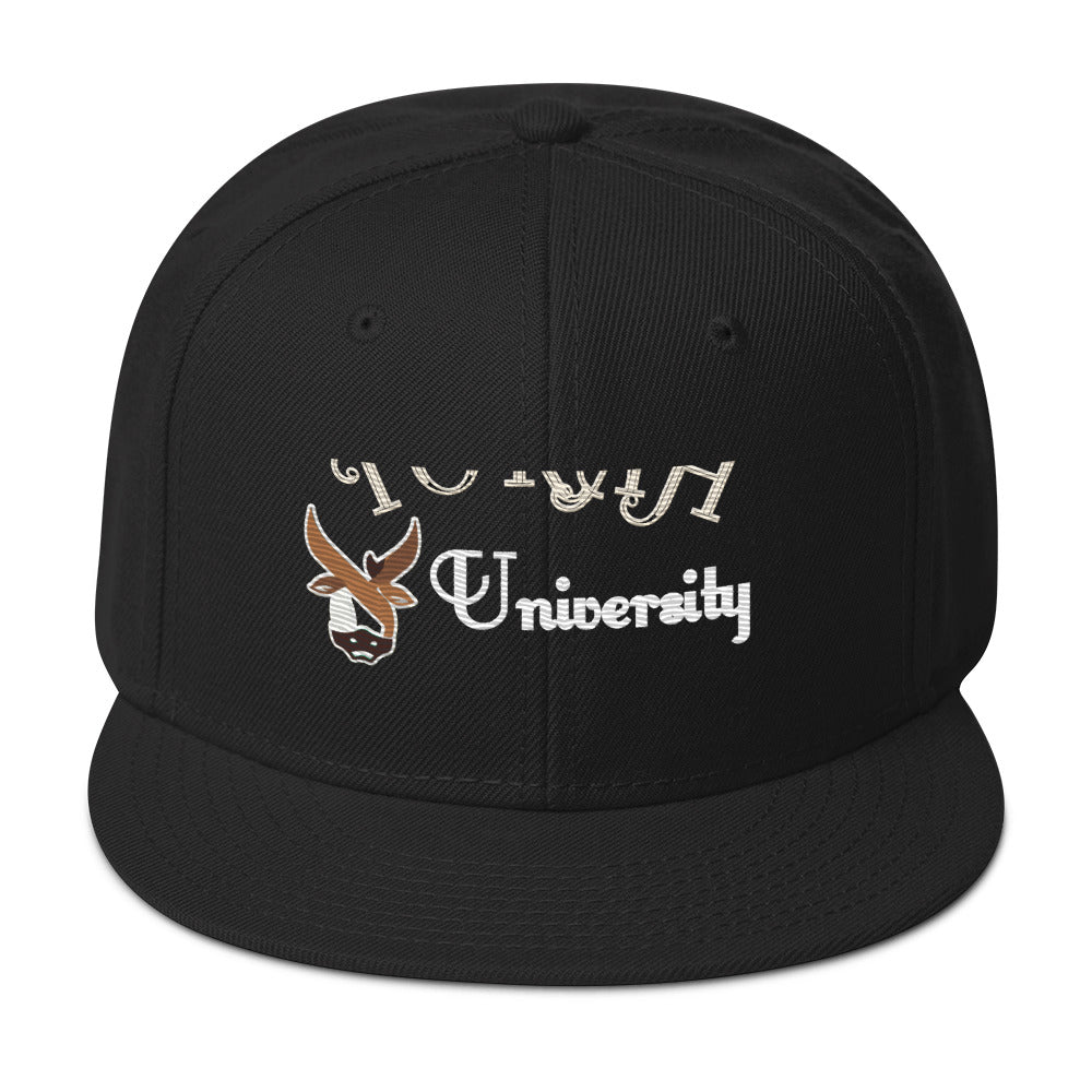 Torah University Snapback Hat