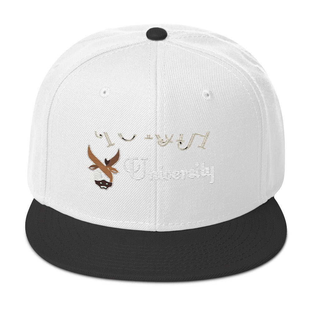 Torah University Snapback Hat