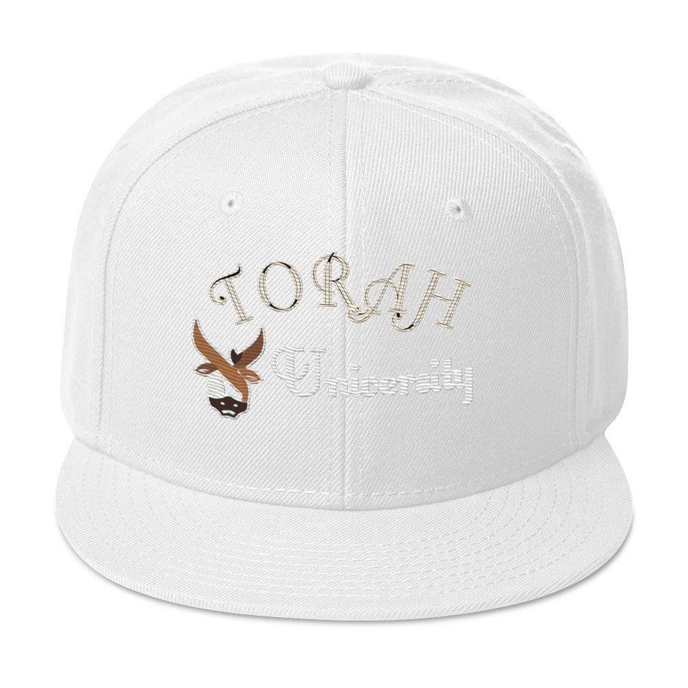 Torah University Snapback Hat