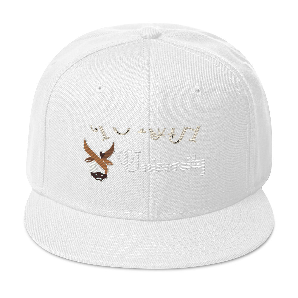Torah University Snapback Hat