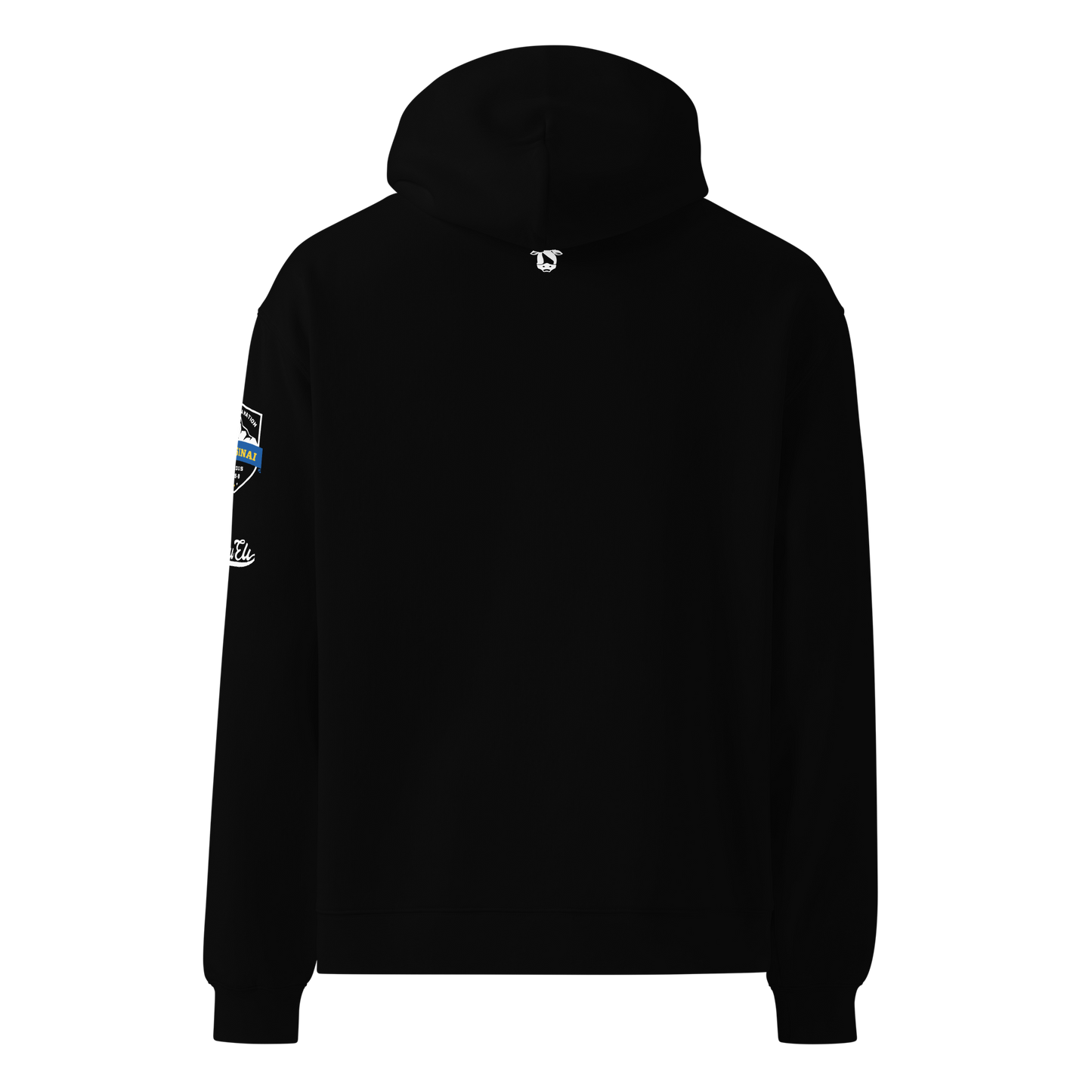 ADONI’ELI VARSITY oversized hoodie