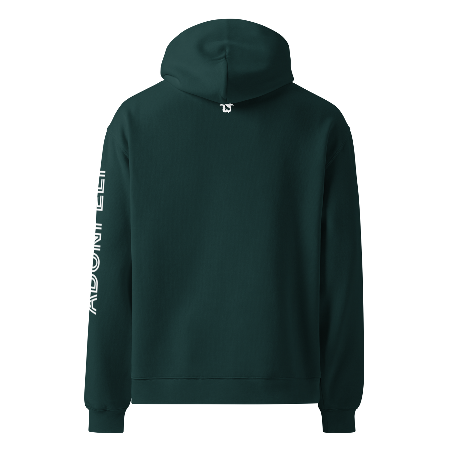 Pr. 16:18 “PRIDE” hoodie